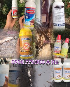 thuốc diệt mối dạng lỏng tốt nhất hiện nay, mua hàng: 0908.779.000 A Hà