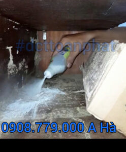 diet moi tai quang trị